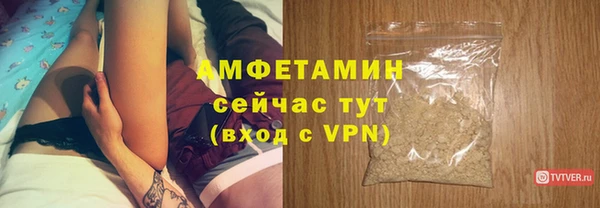 прущие грибы Михайловск