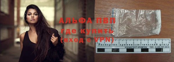 прущие грибы Ачинск