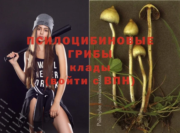 а пвп мука Наволоки