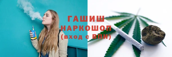 прущие грибы Михайловск