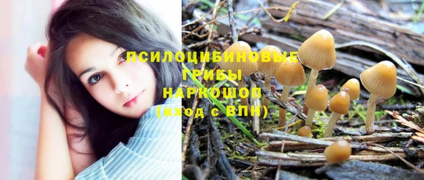 а пвп мука Наволоки