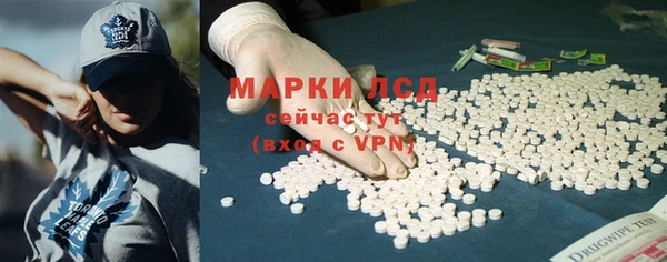 прущие грибы Михайловск