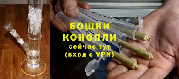 прущие грибы Михайловск