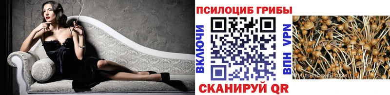 Галлюциногенные грибы мицелий  Клин 