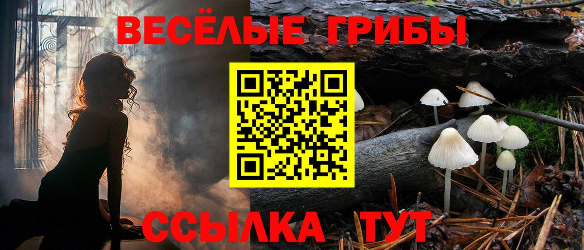 Галлюциногенные грибы мицелий  Клин  Псилоцибиновые грибы MAGIC MUSHROOMS 