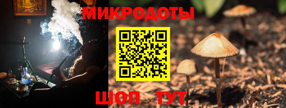 Псилоцибиновые грибы прущие грибы  Вход с VPN  Клин 