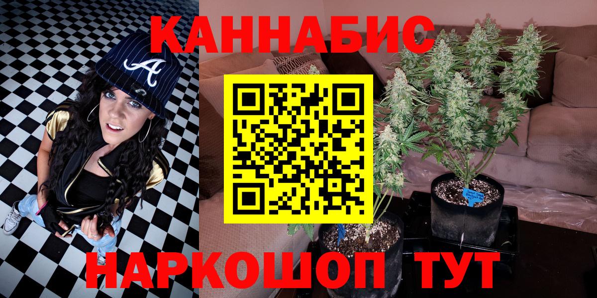 Канабис ГИДРОПОН Клин